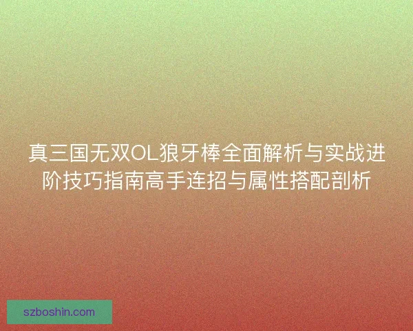 真三国无双OL狼牙棒全面解析与实战进阶技巧指南高手连招与属性搭配剖析